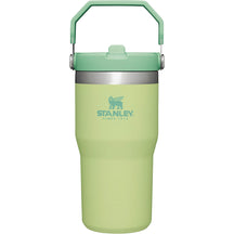 Stanley 20oz IceFlow™ Flip Straw Tumbler