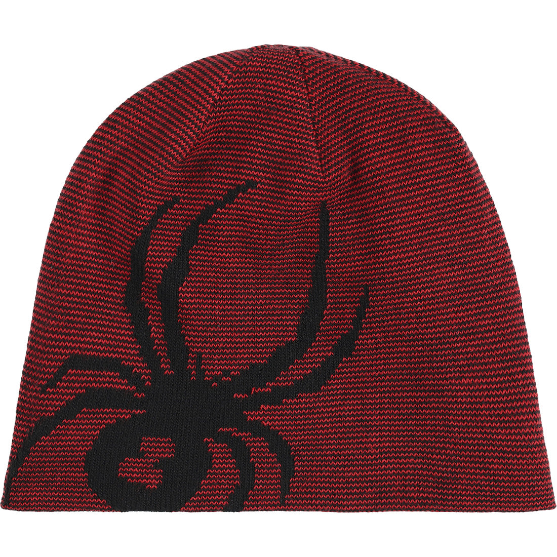 Spyder Reversible Bug Beanie - Boys