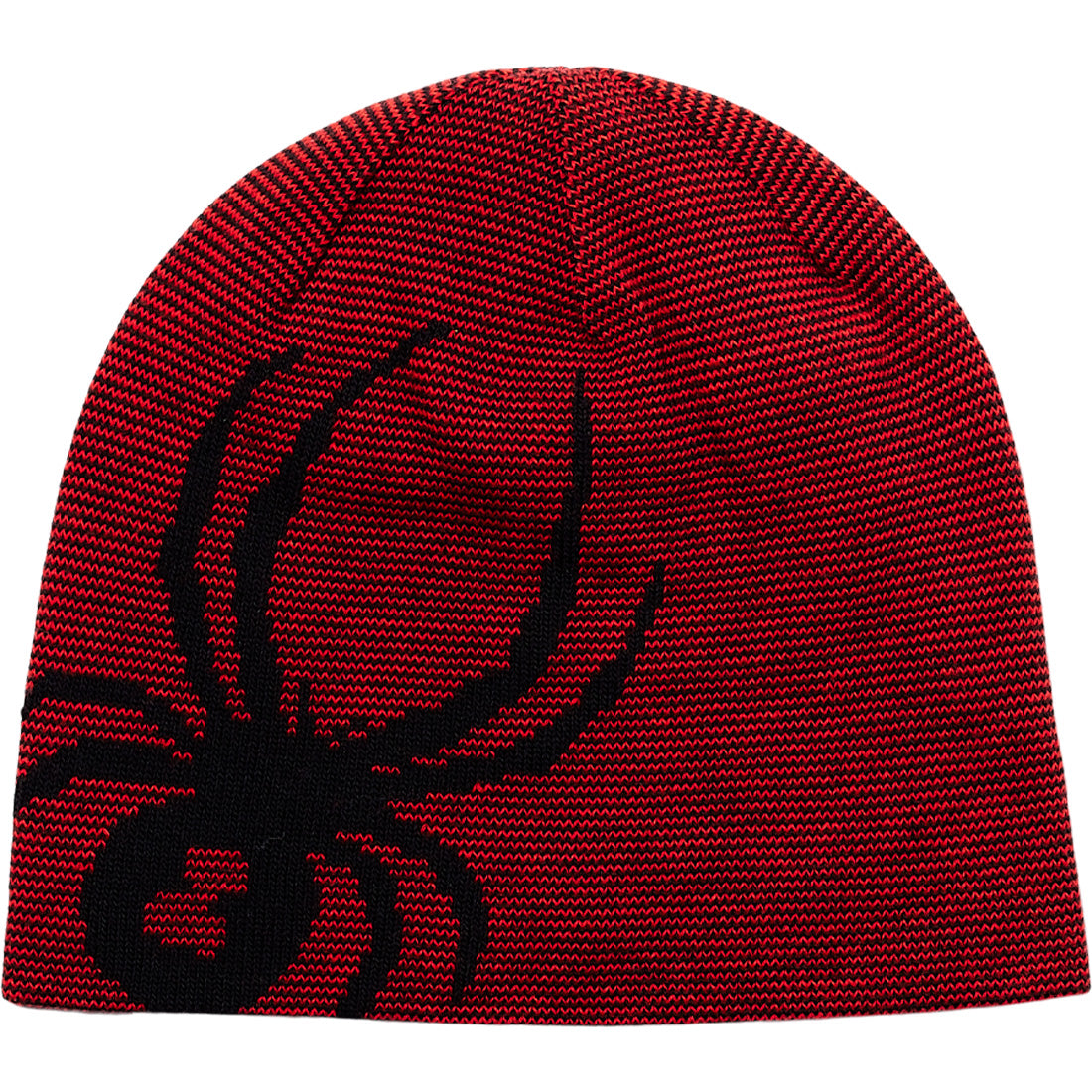 Spyder Reversible Bug Beanie - Boys