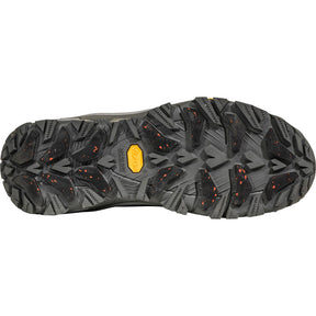 Oboz Bangtail Mid Insulated Waterproof - Men's