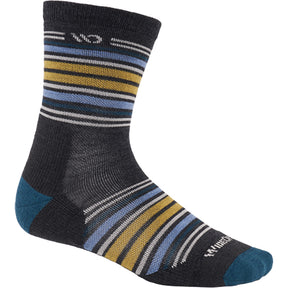 Wide Open by Darn Tough Vermont Multi Stripe Midweight Micro Crew Sock - Men's