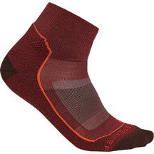 Icebreaker Hike+ Light Mini Sock - Men's