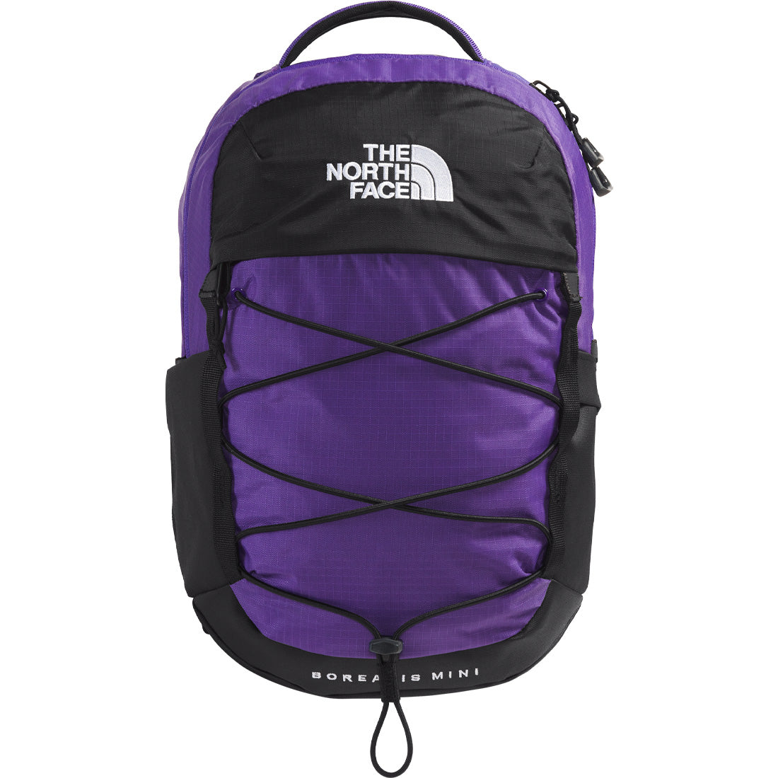 The North Face Borealis Mini Backpack