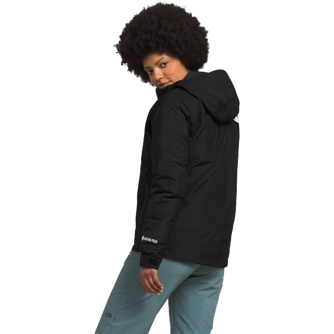 The North Face GTX Mountain Jacket Black - M