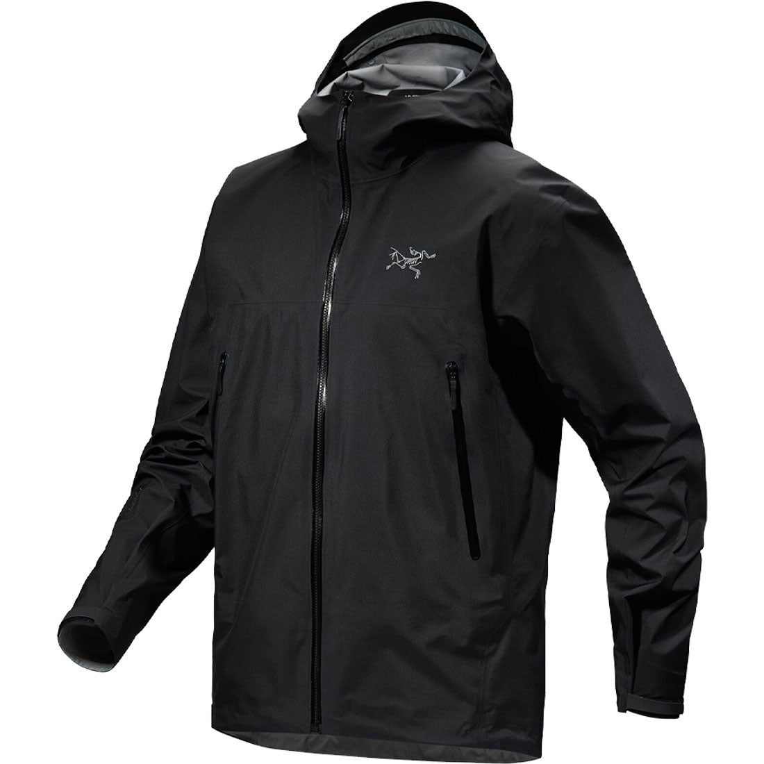 Arc'teryx Beta Jacket (revised) - Men's