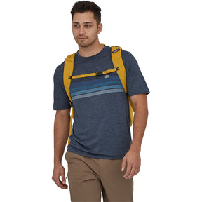 Patagonia Black Hole Pack 32L (Discontinued)