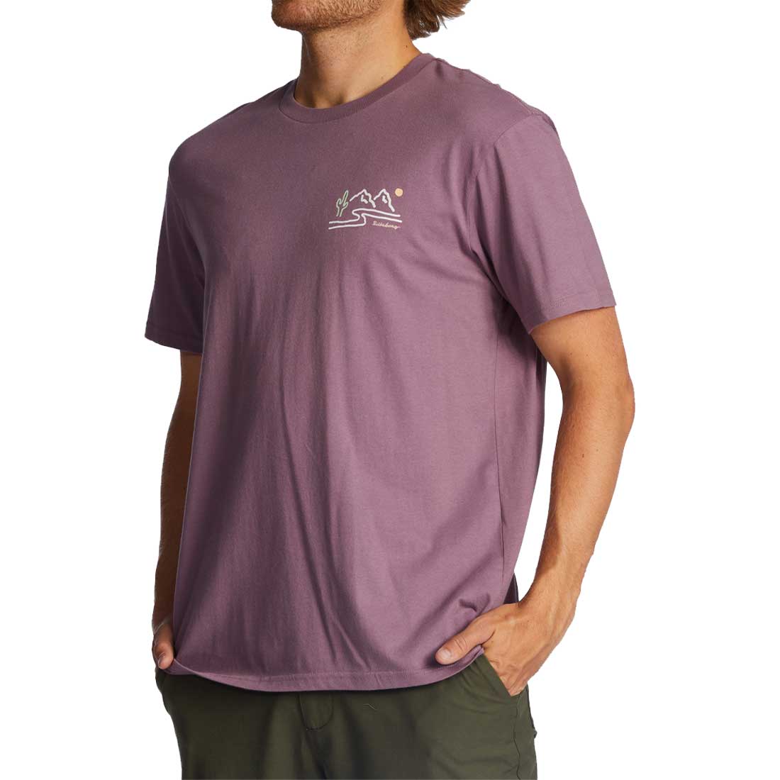 Billabong Panorama Organic T-Shirt - Men's