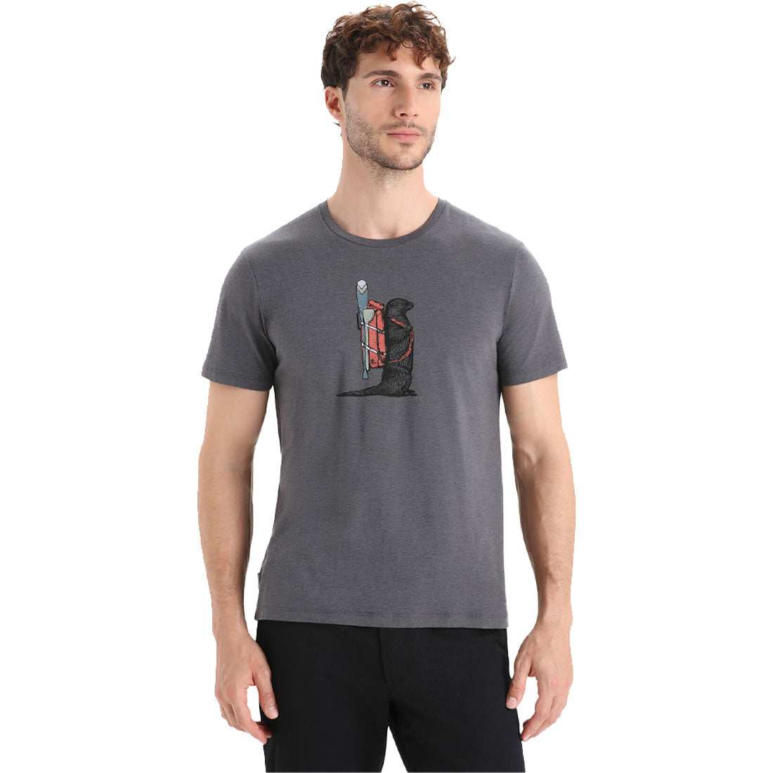 Icebreaker Central Classic T-Shirt Otter Paddle - Men's