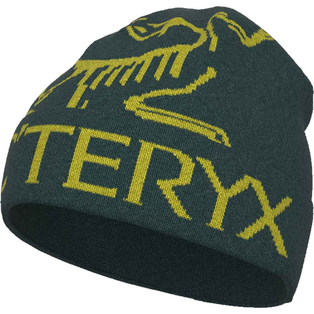 新品HOTARC’TERYX　Bird Word Toque　Orca　入手困難　新品 帽子